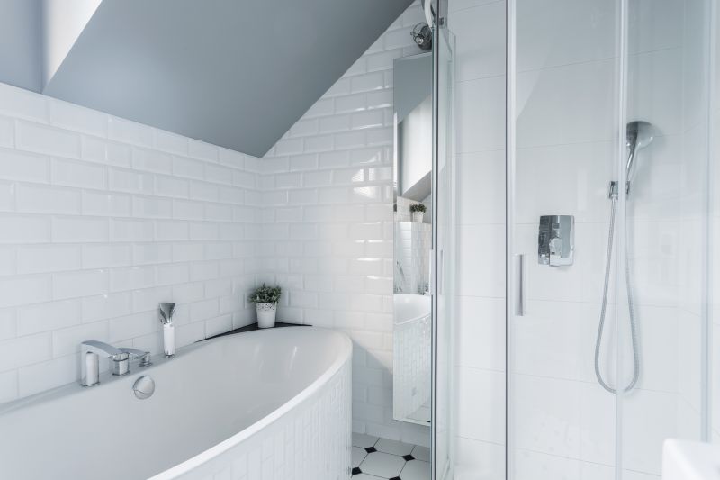 Elegant Shower and Tub Combo